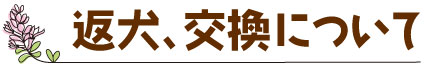 返犬、交換について