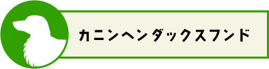 カニンヘンダックスフンド