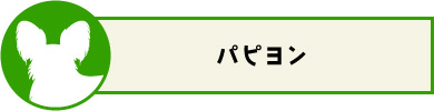 パピヨン