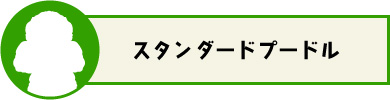 スタンダードプードル