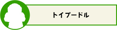 トイプードル